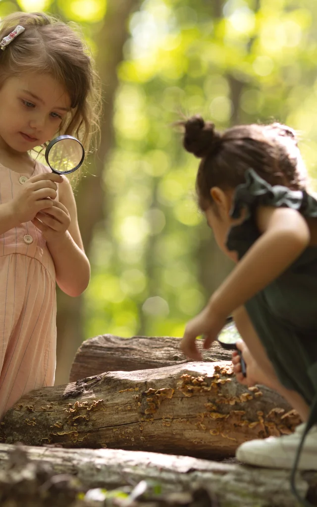 Enfants Curieux Participant Chasse Au Tresor
