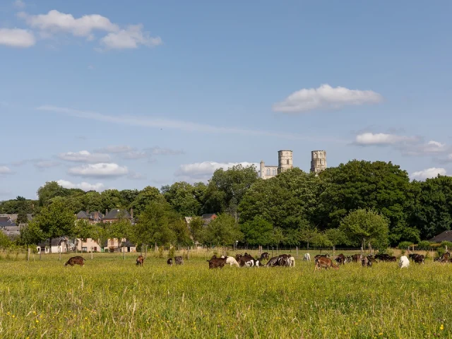 Evasion naturelle et gourmande à Jumièges