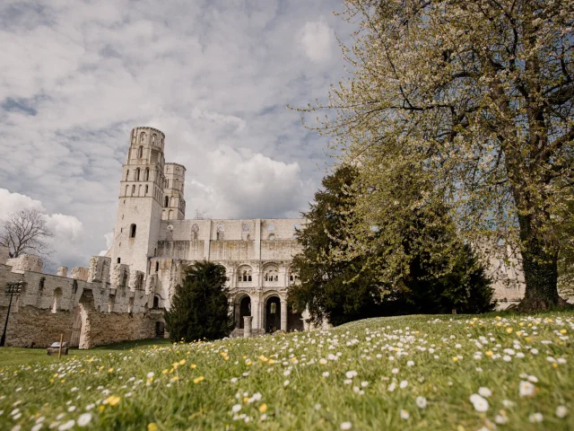 Abbaye De Jumieges Au Printemps