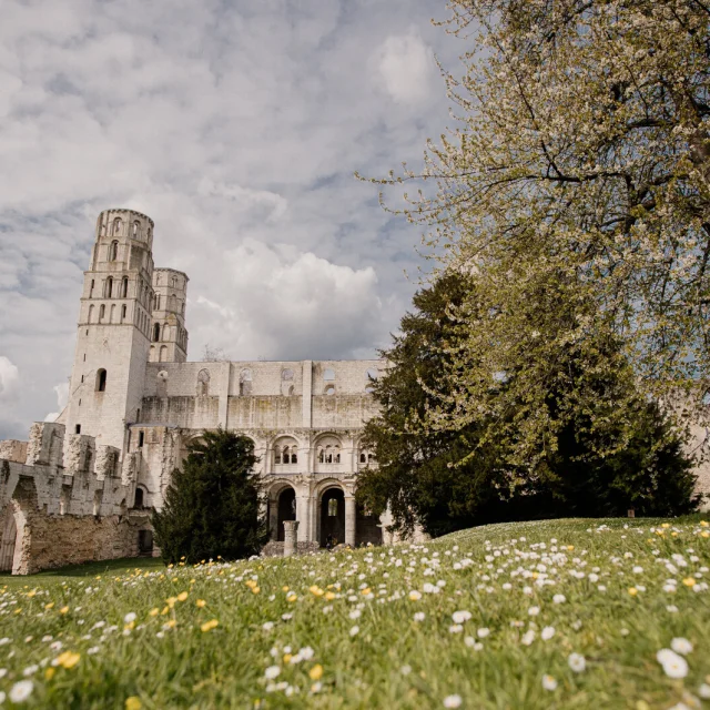 Abbaye De Jumieges Au Printemps