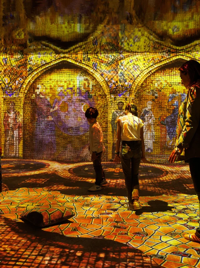 Cite Immersive Viking Rouen Photo David Morganti