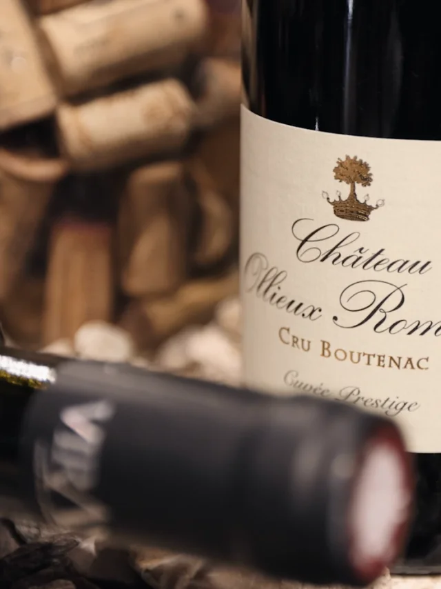 Caves Pierre Noble 2