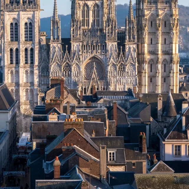 Cathedral roof view