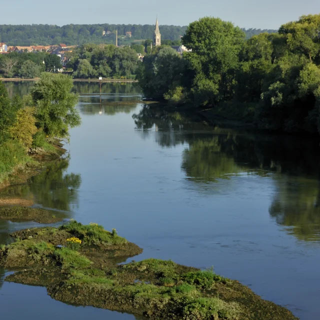 Marais Et Ile Aux Boeufs 1