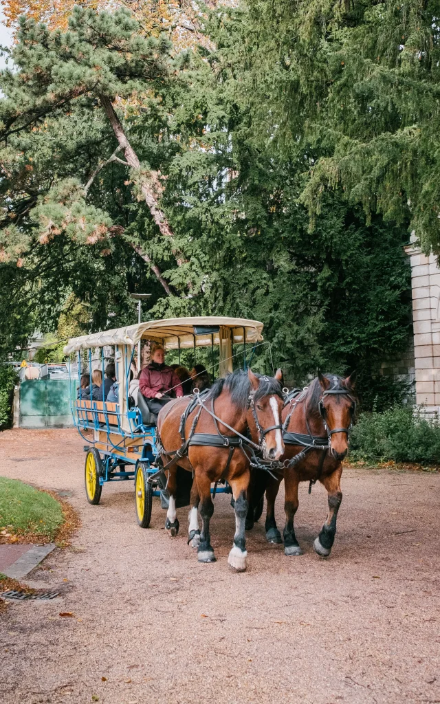 Rouen Au Pas Des Chevaux Clement Giraud