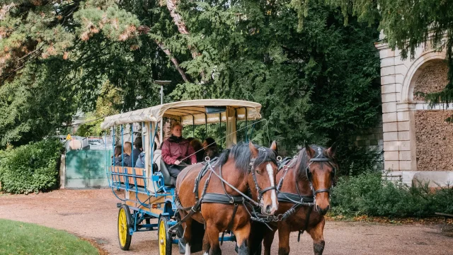 Rouen Au Pas Des Chevaux Clement Giraud