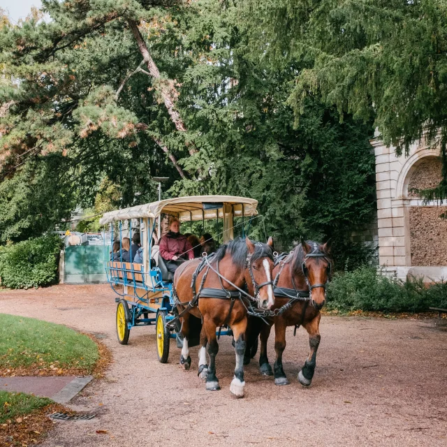 Rouen Au Pas Des Chevaux Clement Giraud