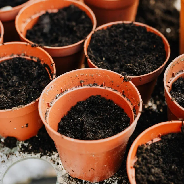 Permaculture