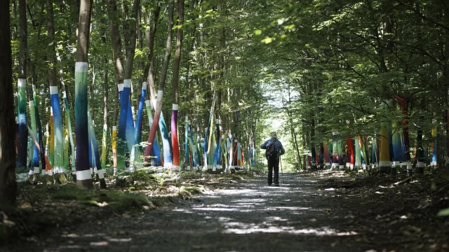 Forêt Monumentale