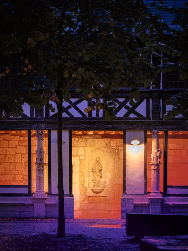 Beliot Octopus 4347 4