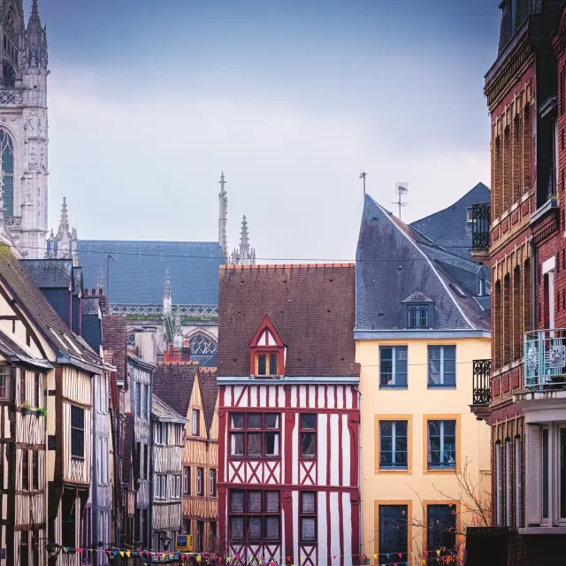 Benoit Eliot Octopus 6234