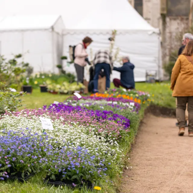 Jardins En Eveil 2024 Nicolas Bram Departement De La Seine Maritime 1
