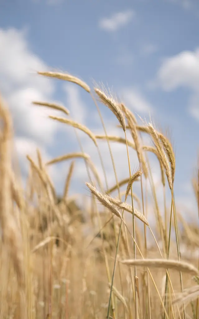 @ Alan Aubry - Metropole Rouen Normandie