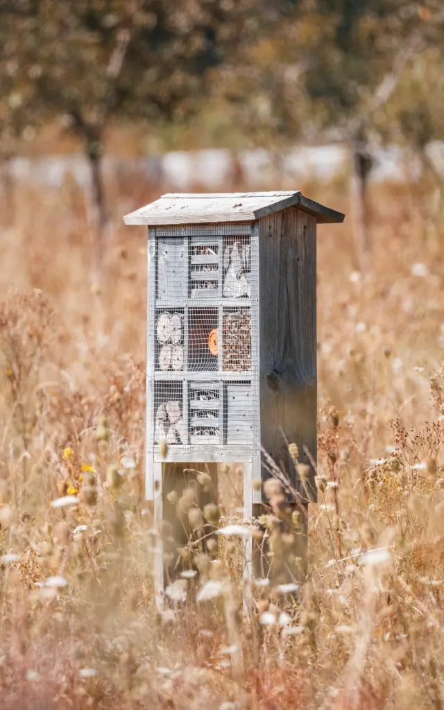 Aa 250826 Ser Parc Du Champ Des Bruyeresa Aubry Metropole Rouen Normandie 0002