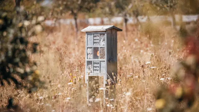 Aa 250826 Ser Parc Du Champ Des Bruyeresa Aubry Metropole Rouen Normandie 0002
