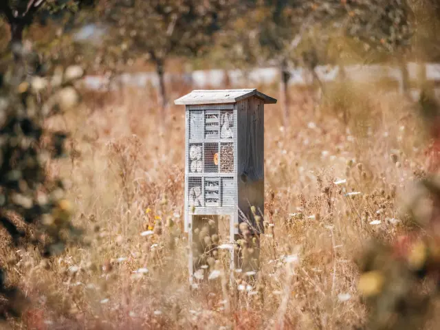 Aa 250826 Ser Parc Du Champ Des Bruyeresa Aubry Metropole Rouen Normandie 0002
