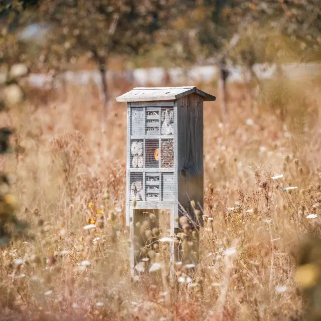 Aa 250826 Ser Parc Du Champ Des Bruyeresa Aubry Metropole Rouen Normandie 0002