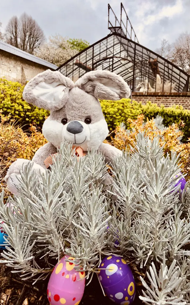 Lapin Pâques Château du Taillis