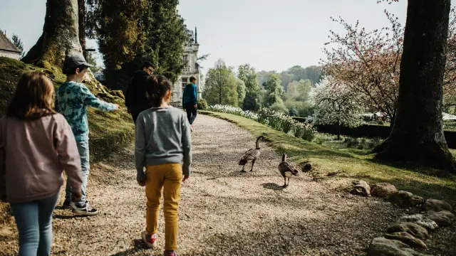 Balade Au Parc De Cleres
