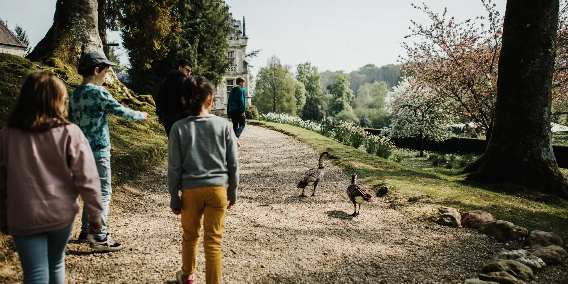 Balade Au Parc De Cleres