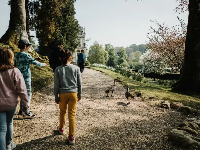 Balade Au Parc De Cleres