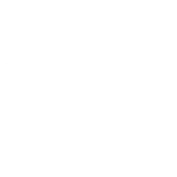 Vegetarian
