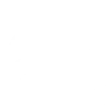 Cushions 13139050