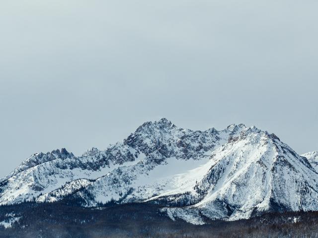 Pexels Brett Sayles 3784549