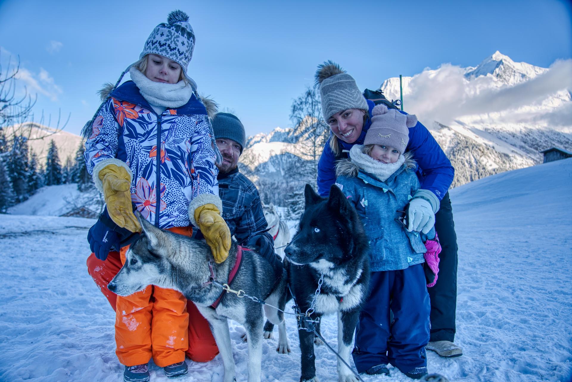 Chien de traineau en famille à Saint-Gervais Mont-Blanc