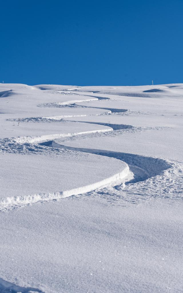 Trace de ski dans la neige fraiche