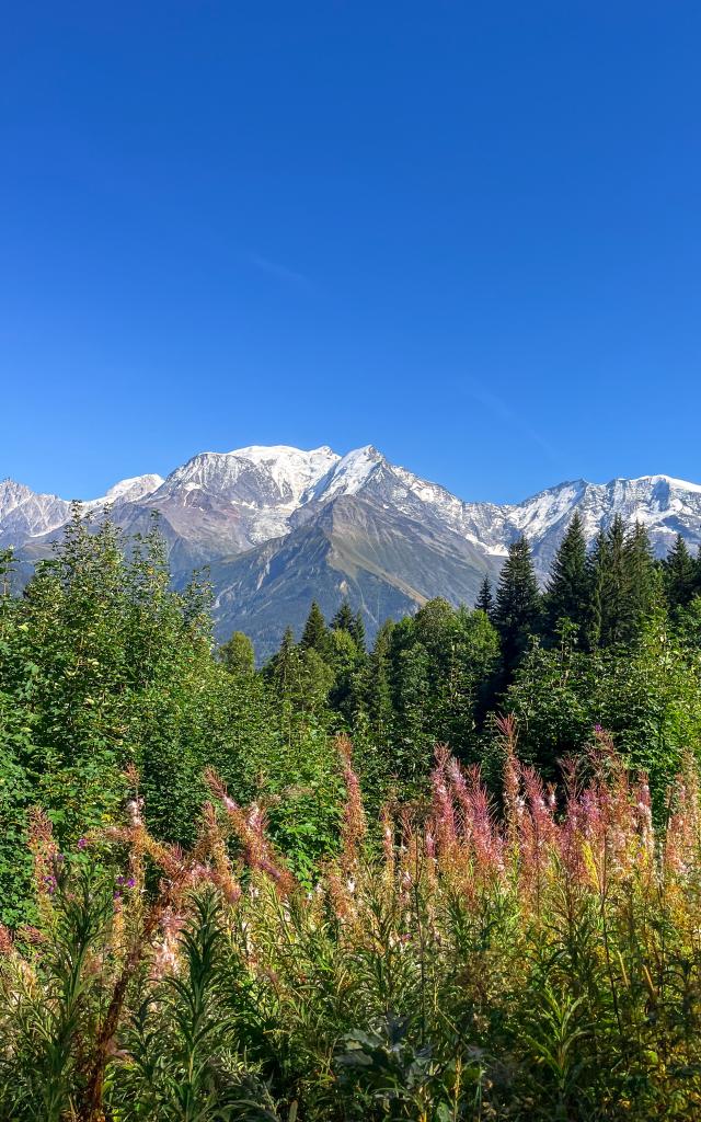 The Mont-Blanc massif, a jewel case of nature