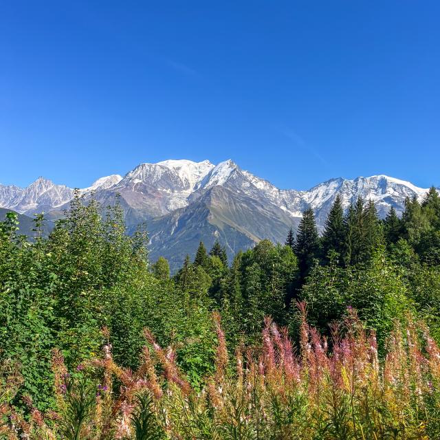 Le massif du Mont-Blanc, un écrin de nature