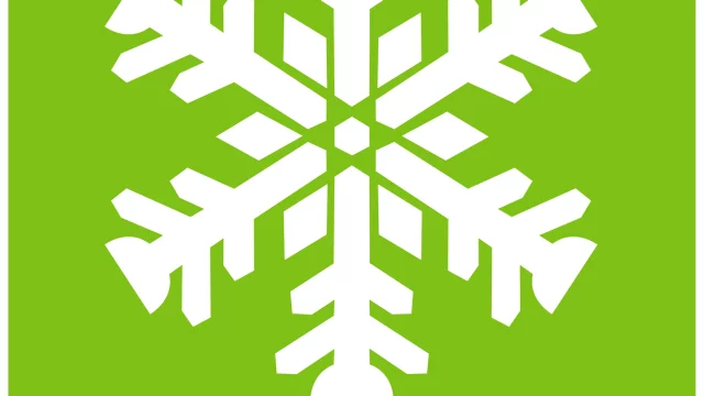 Logo fiocco di neve verde
