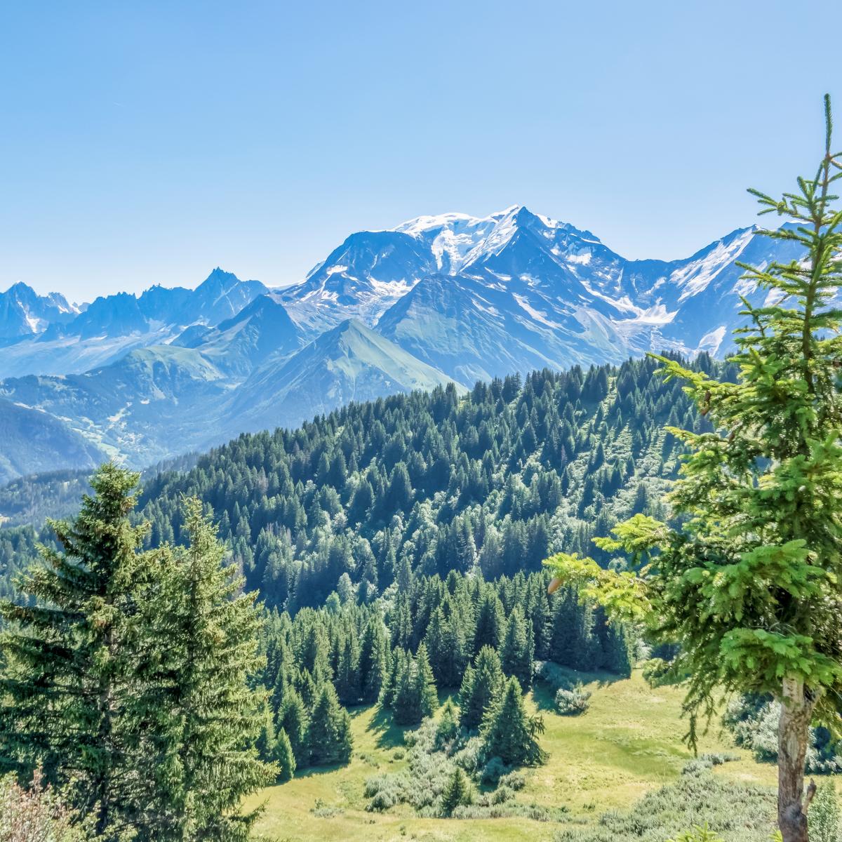 Mairie | Saint-Gervais Mont-Blanc – Montagne, Glisses, Thermalisme Et ...