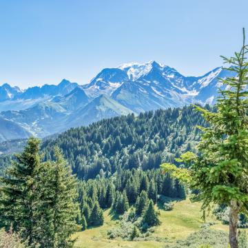 L'environnement naturel exceptionnel de Saint-Gervais