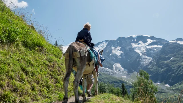 Trekking con gli asini