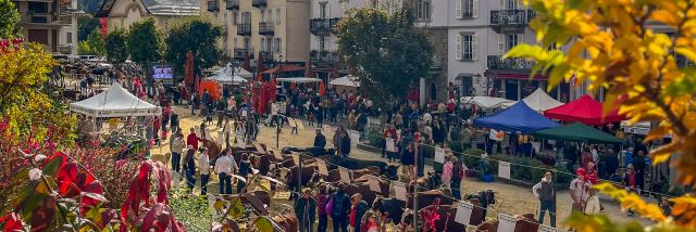 La foire de Saint-Gervais