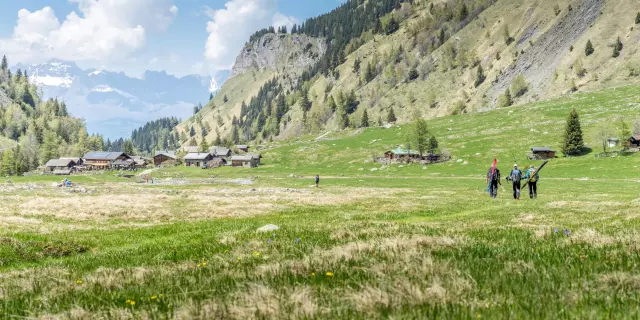 Le printemps dans le vallon de miage