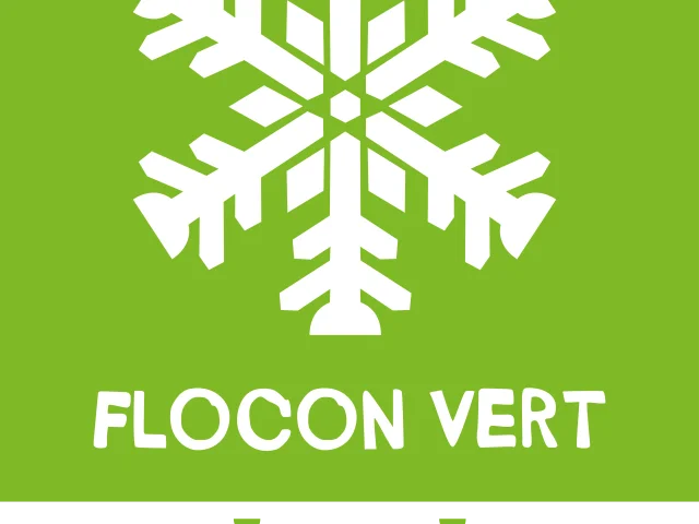 Logo Flocon Vert 2 Flocon1