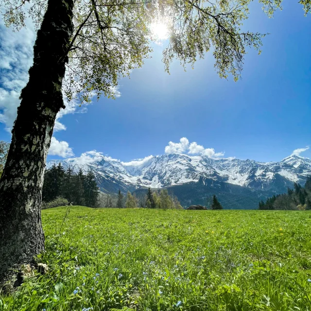 Paysage de printemps au plateau de la croix