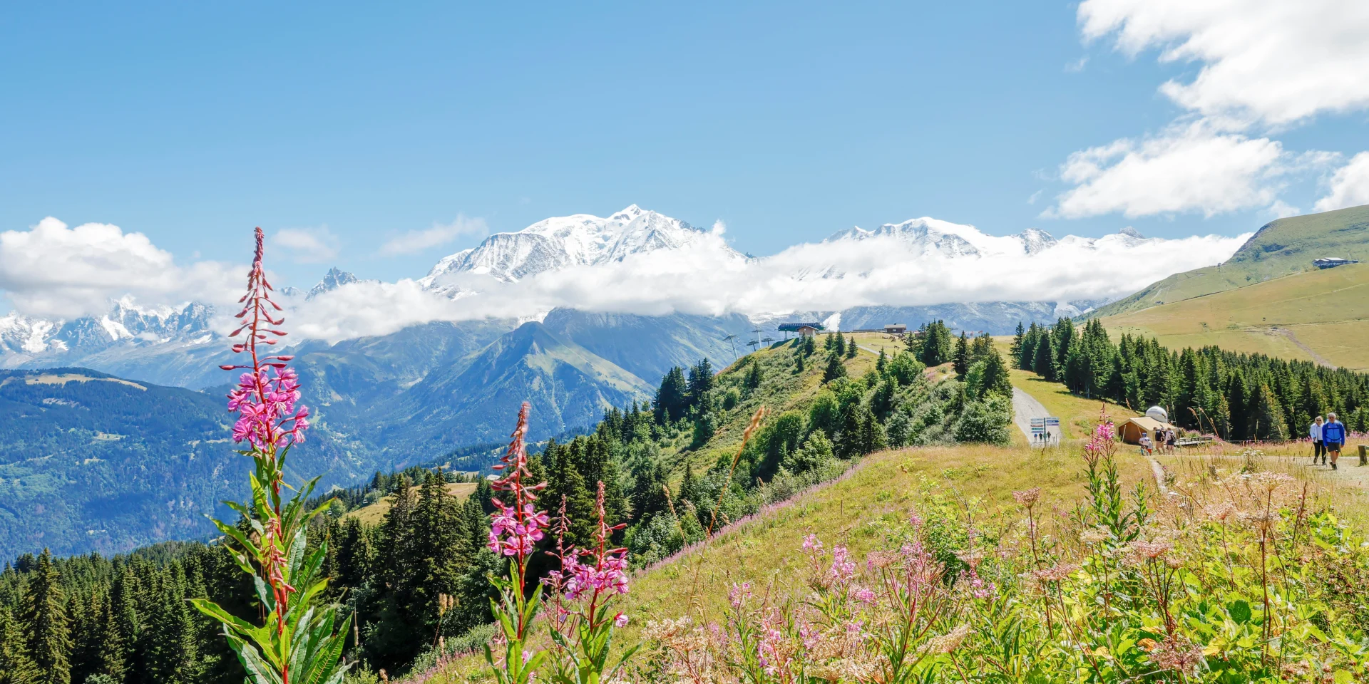 Le massif du Mont-Blanc vu depuis les pistes de Saint-Gervais en été