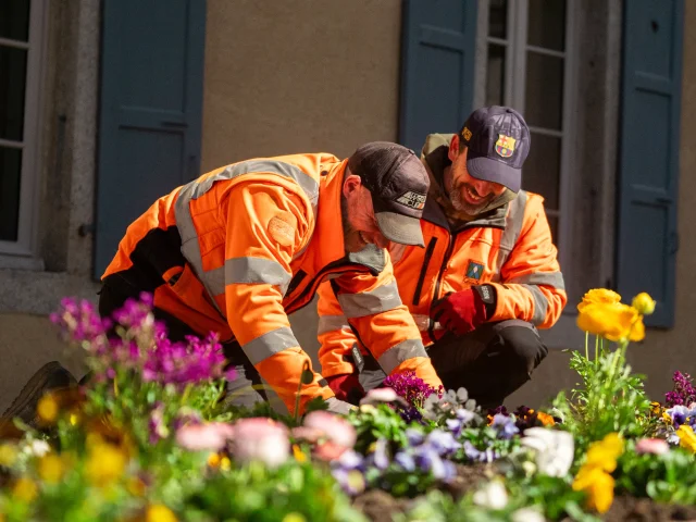 Fiori 11