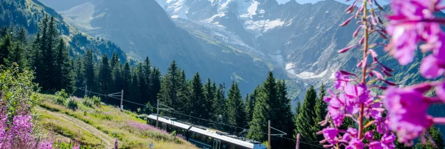 Le Tramway du Mont-Blanc en direction du Mont-Lachat l'été