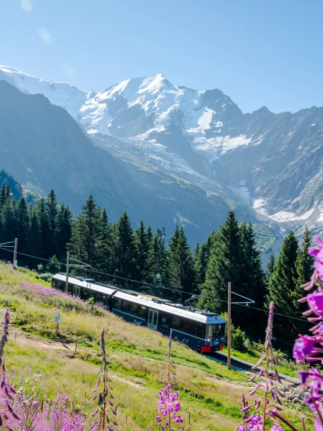 Le Tramway du Mont-Blanc en direction du Mont-Lachat l'été