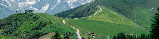 Sur les itinéraires de randonnée à Saint-Gervais Mont-Blanc