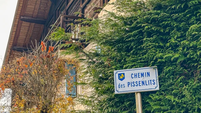 Route des pissenlits