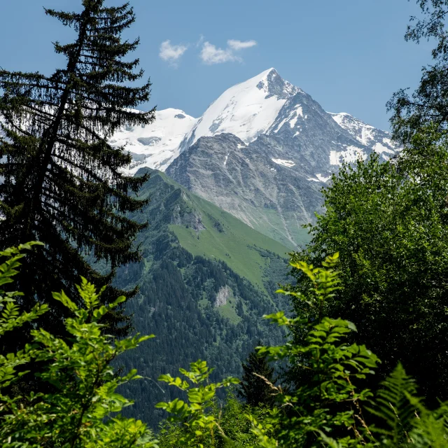 L'aiguille de Bionnassay