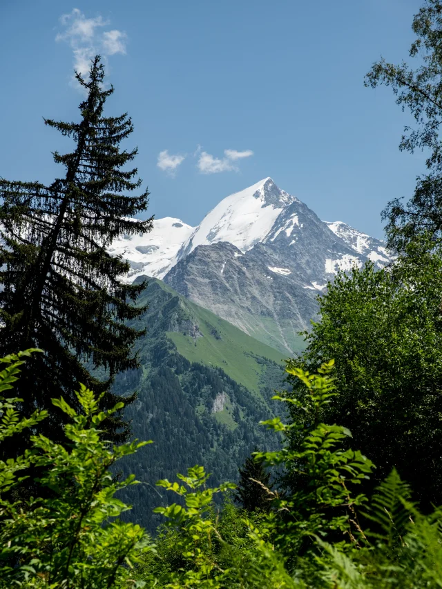 L'aiguille de Bionnassay