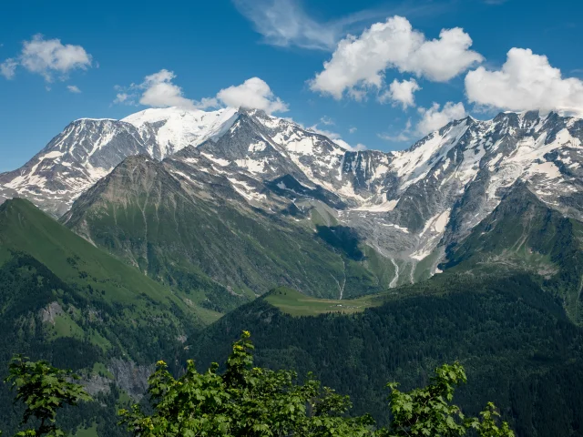 Elagage dans la commune de Saint-Gervais-les-Bains