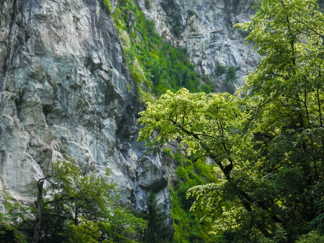 Lefayet 29 06 23 22